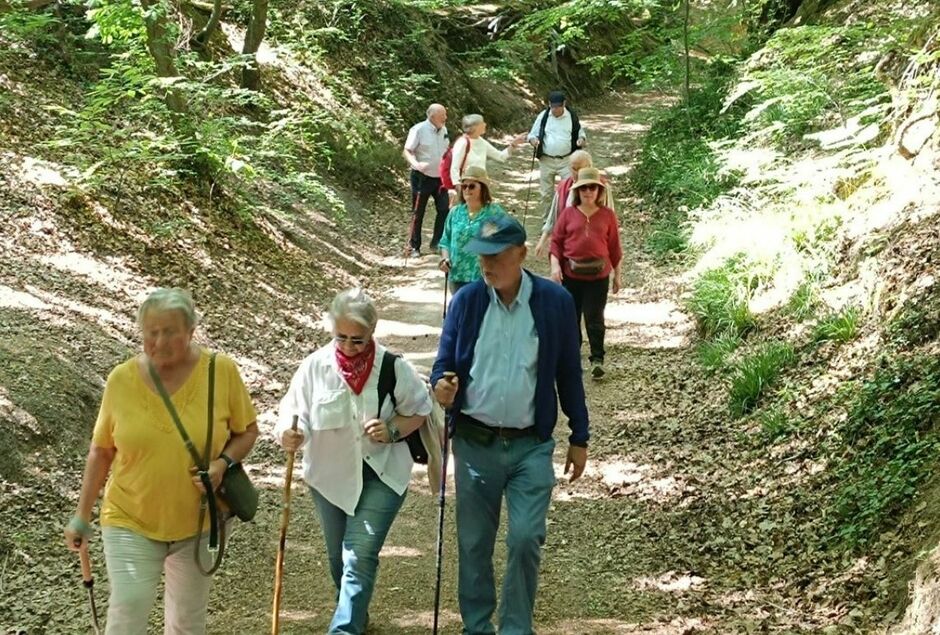 TRES BELLE BALADE ORGANISEE AU DEPART DU BOIS DES REVES !